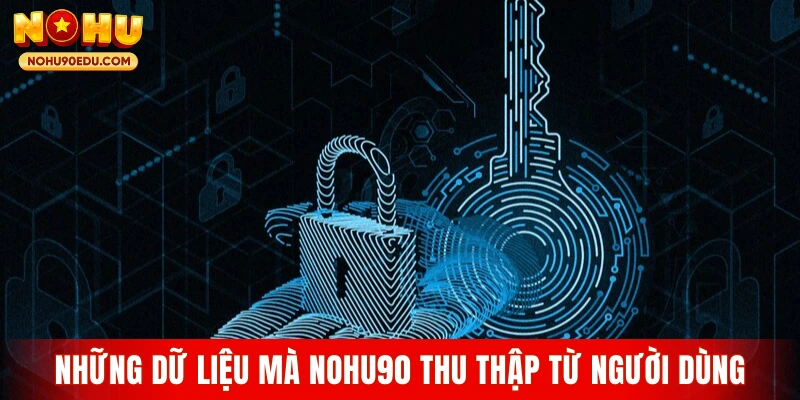 Những dữ liệu mà Nohu90 thu thập từ người dùng
